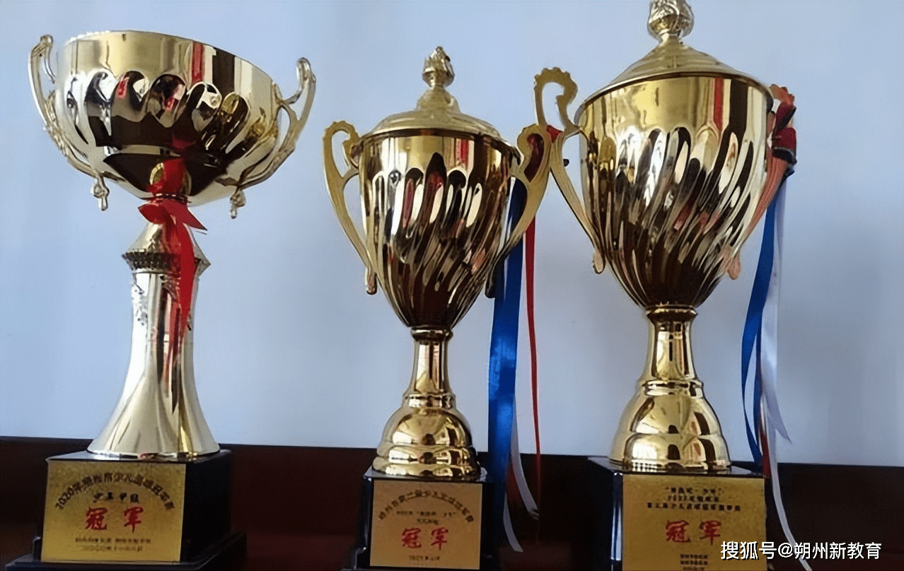 关于电厂小足球队最终夺冠，目的达成的信息