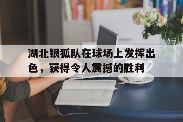 湖北银狐队在球场上发挥出色，获得令人震撼的胜利的简单介绍